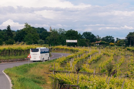 V osrčju dežele terana; Vir: Arhiv Občine Sežana 